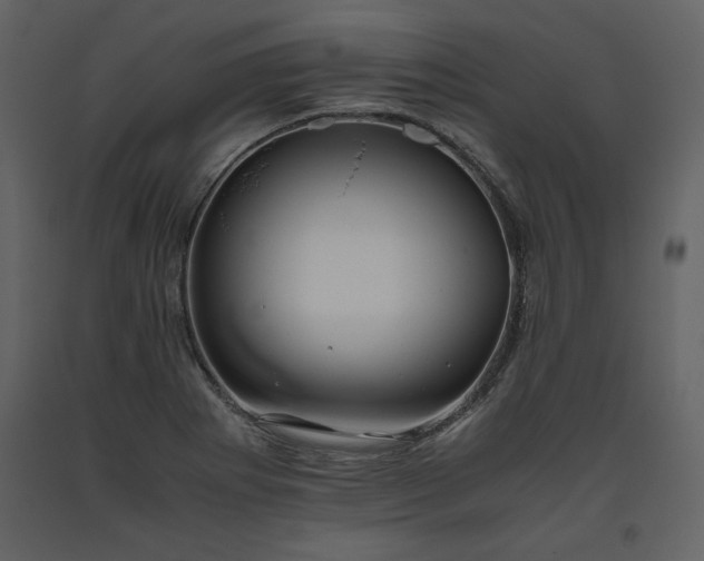 X0000093611273200710221600