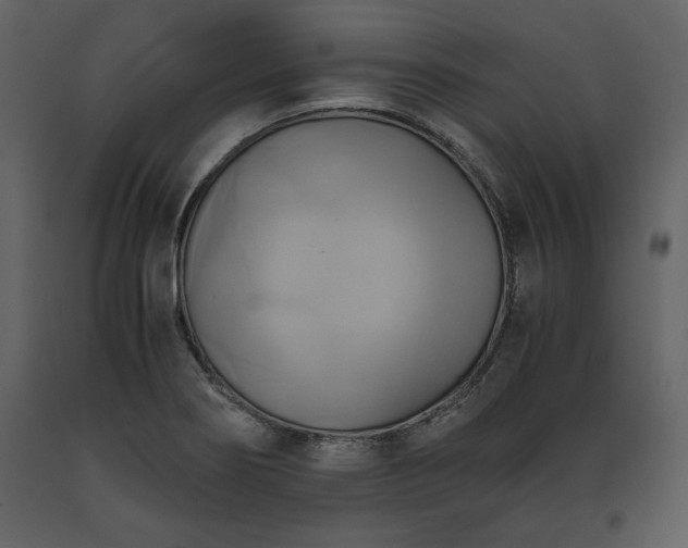 X0000093611274200710221600