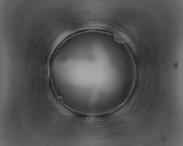 X0000093611275200710221600