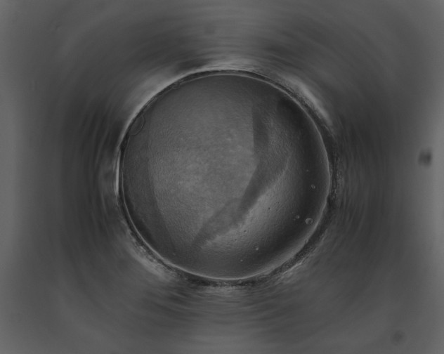 X0000093611276200710221600