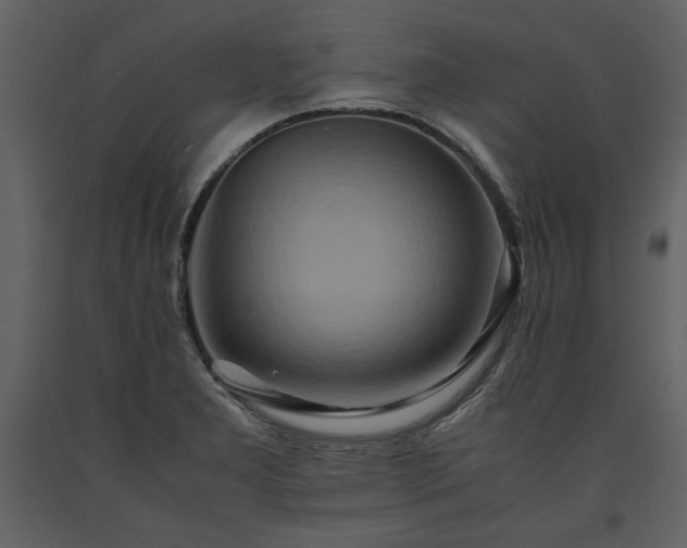 X0000093611277200710221600