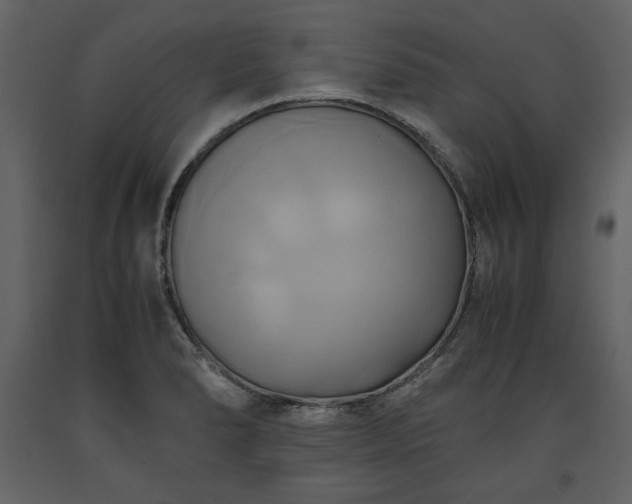 X0000093611278200710221600