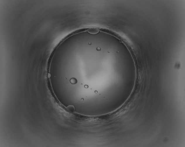 X0000093611279200710221600