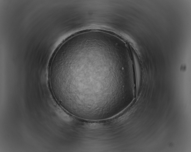 X0000093611280200710221600