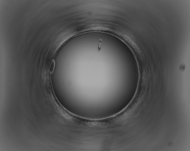 X0000093611281200710221600