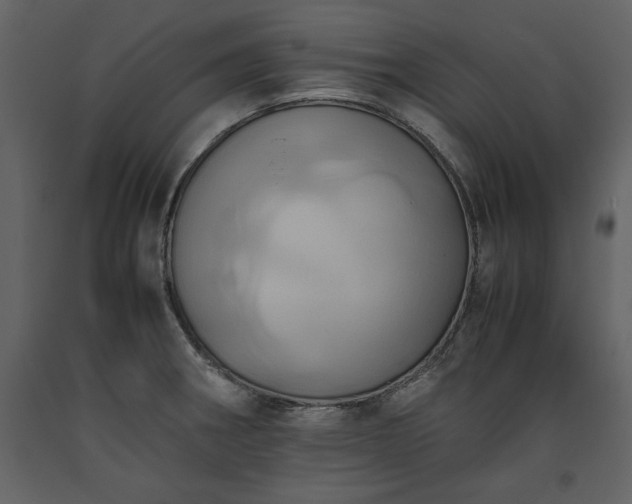 X0000093611282200710221600