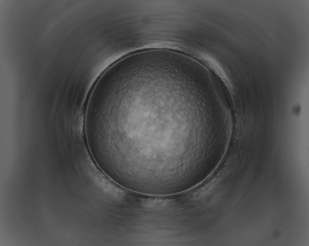 X0000093611284200710221559
