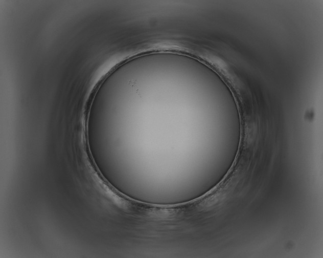 X0000093611286200710221559