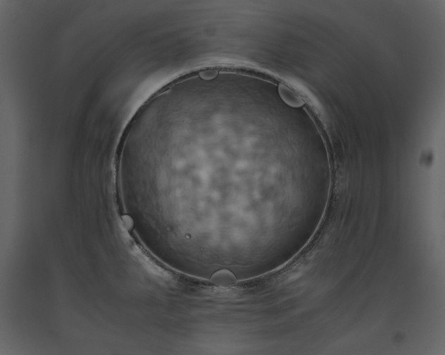 X0000093611287200710221559