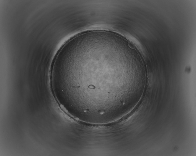 X0000093611288200710221559