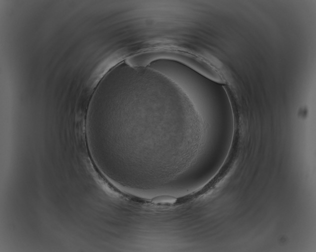 X0000093611289200710221559