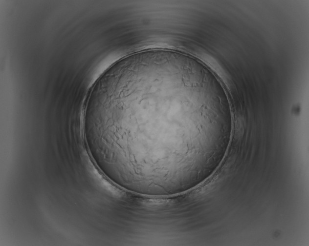 X0000093611290200710221559