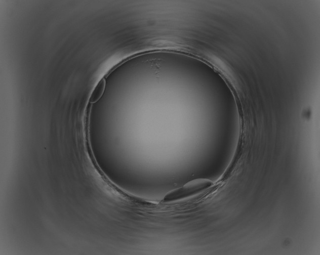 X0000093611291200710221559