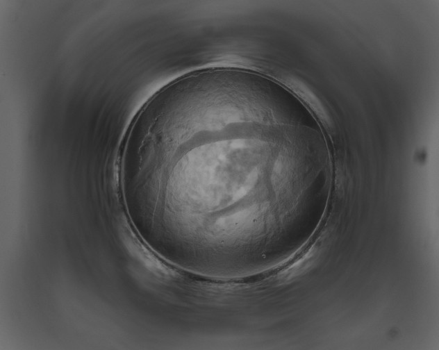 X0000093611292200710221559