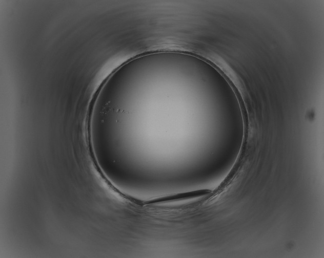 X0000093611293200710221559