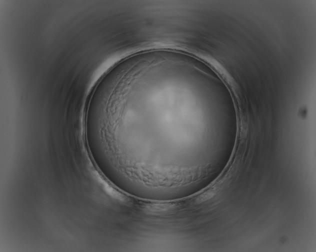 X0000093611294200710221559