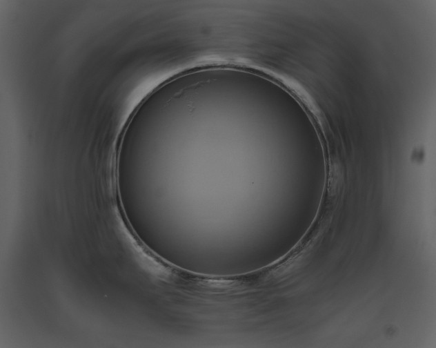 X0000093611295200710221559