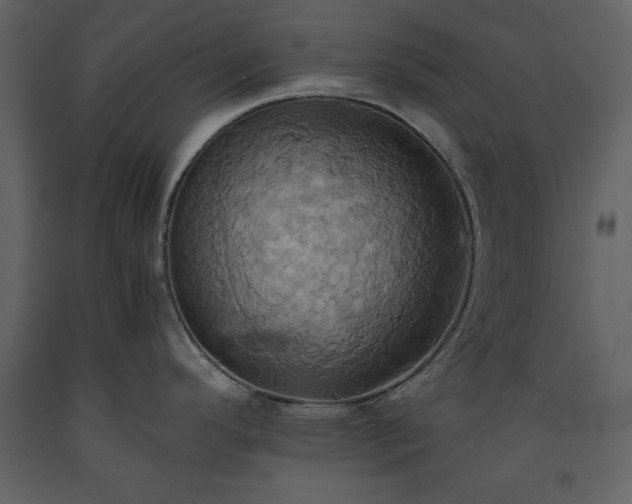 X0000093611296200710221559