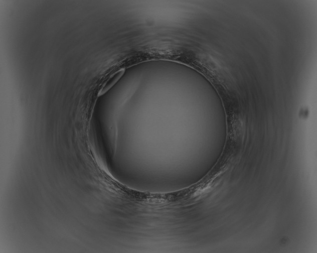X0000093611297200710221559