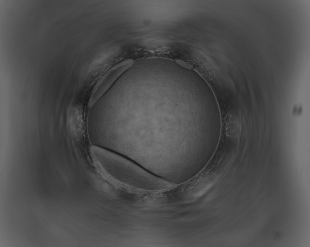 X0000093611298200710221559
