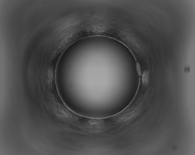 X0000093611299200710221559