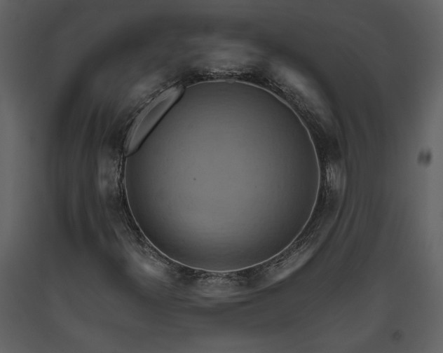 X0000093611300200710221559