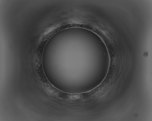 X0000093611303200710221559