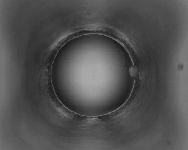 X0000093611304200710221559