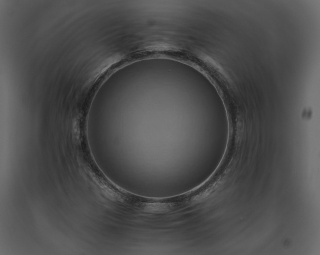 X0000093611305200710221559