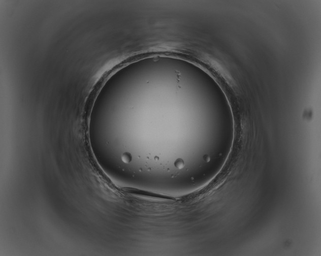 X0000093611308200710221559