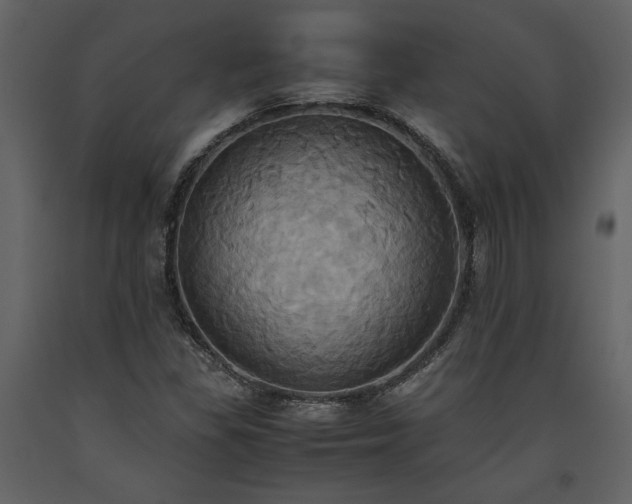 X0000093611309200710221559