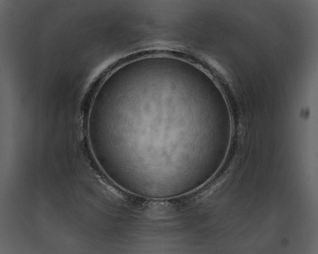 X0000093611310200710221559