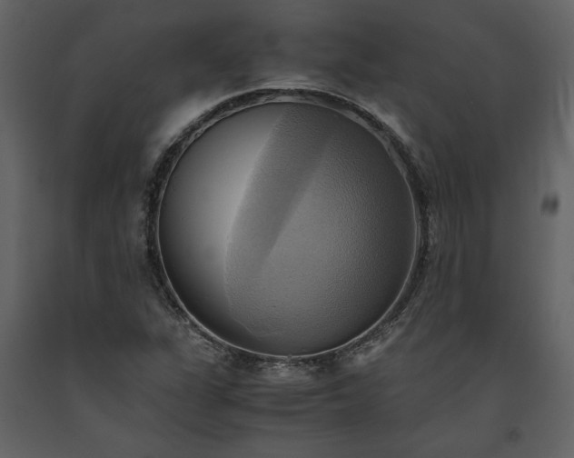 X0000093611311200710221559