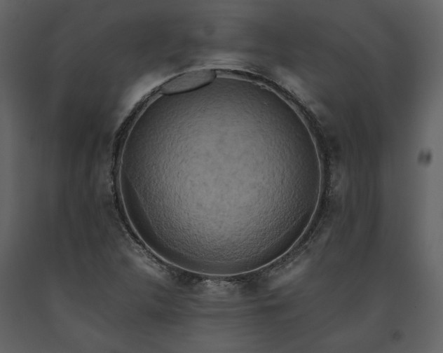 X0000093611312200710221559
