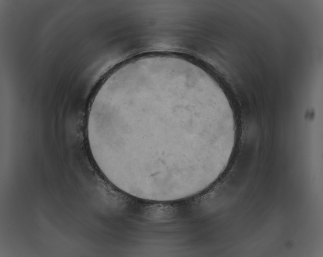 X0000093611314200710221559