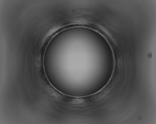 X0000093611315200710221559