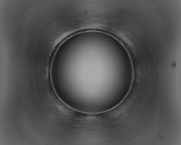 X0000093611316200710221559