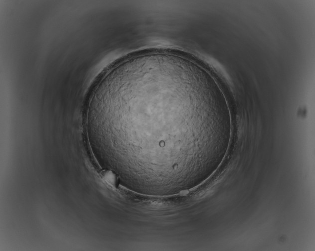 X0000093611318200710221559