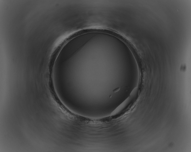 X0000093611319200710221559