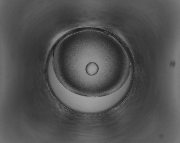 X0000093611320200710221559