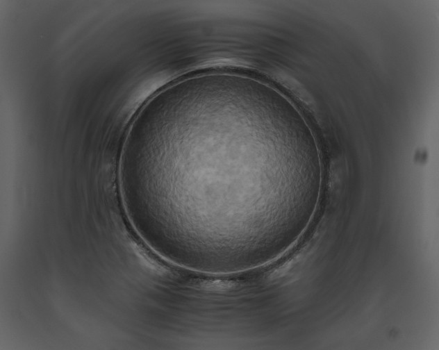 X0000093611321200710221559