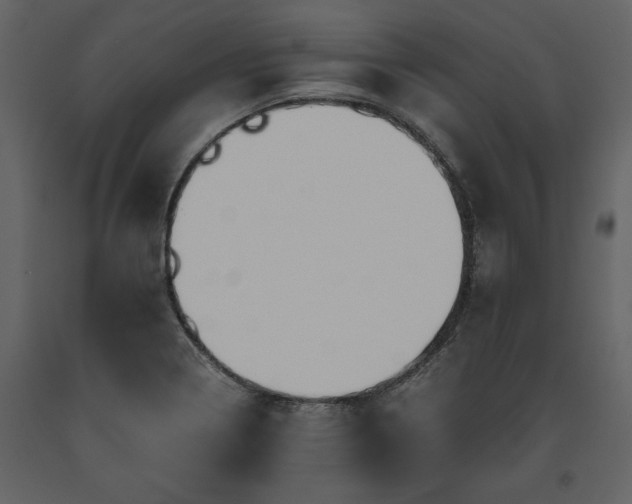 X0000093611322200710221559
