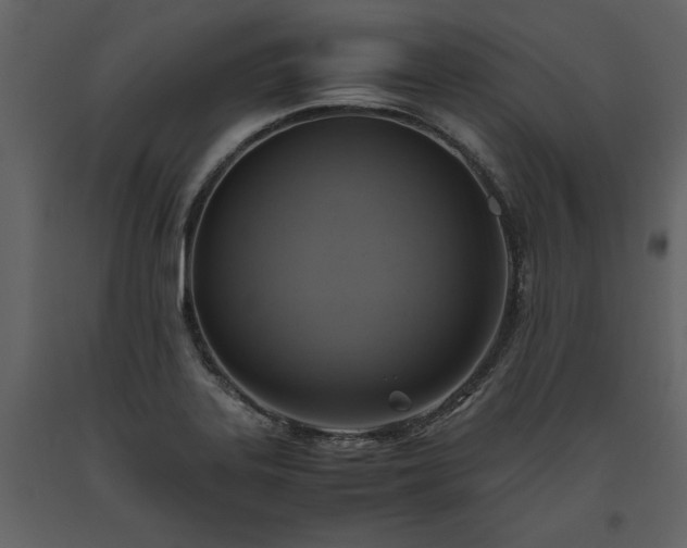 X0000093611323200710221559