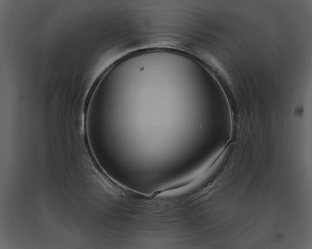 X0000093611324200710221559