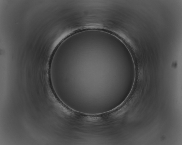 X0000093611325200710221559