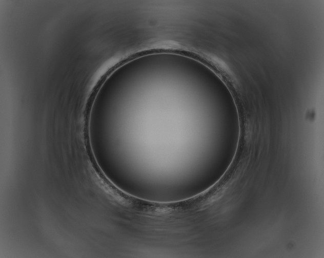 X0000093611326200710221559