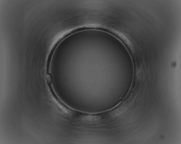 X0000093611327200710221559