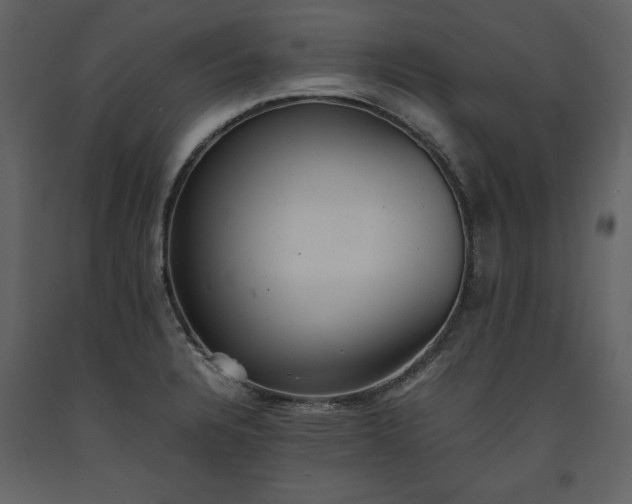 X0000093611328200710221559