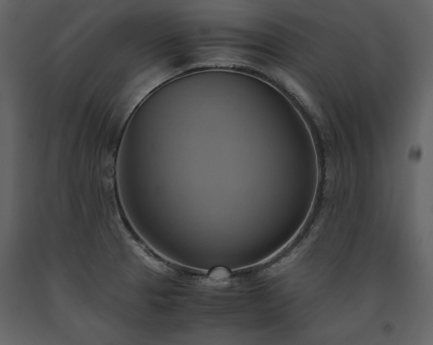 X0000093611329200710221559