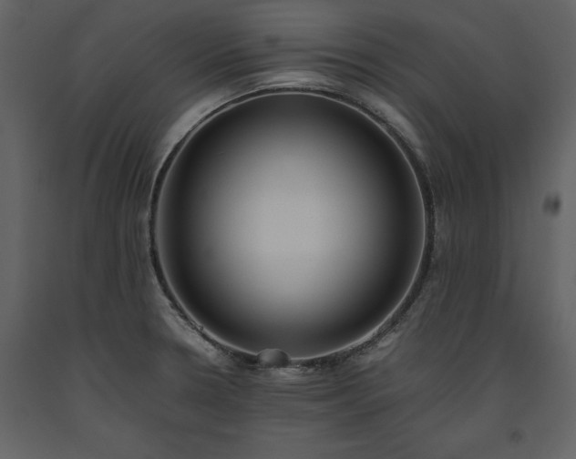 X0000093611330200710221559